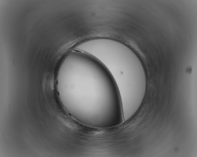 X0000091580068200708201023