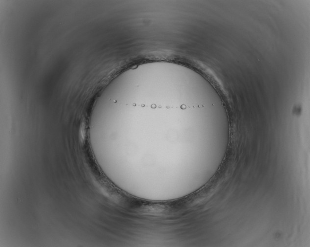X0000091580069200708201023