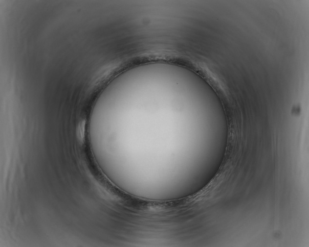 X0000091580070200708201023