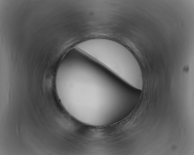 X0000091580071200708201023