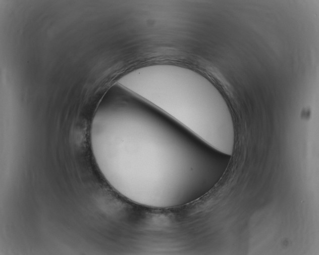 X0000091580073200708201023