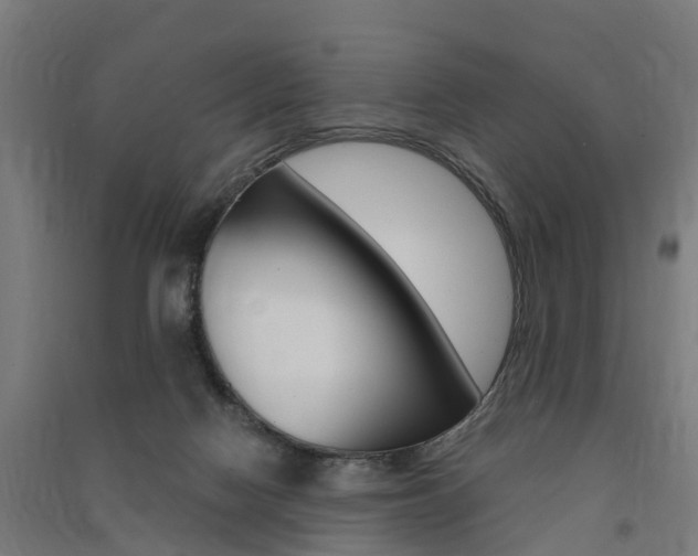 X0000091580074200708201023