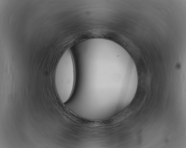 X0000091580075200708201023