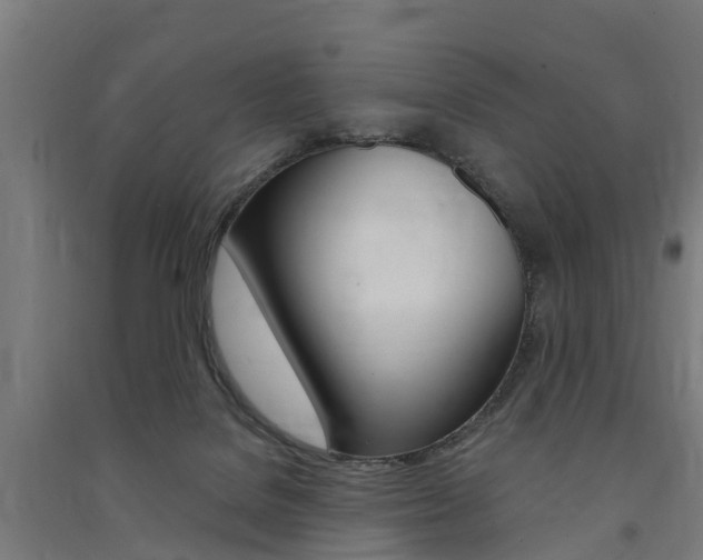 X0000091580076200708201023