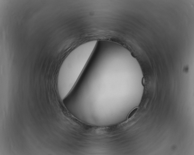 X0000091580078200708201023