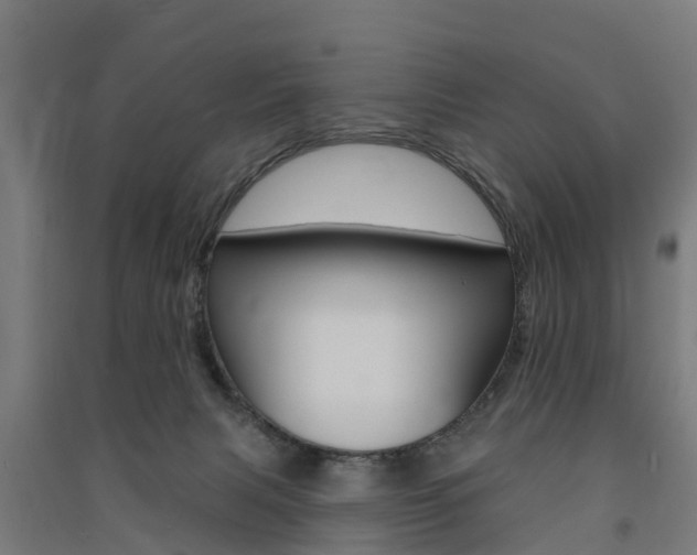 X0000091580079200708201023