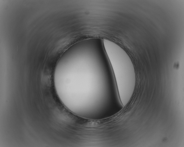 X0000091580080200708201023