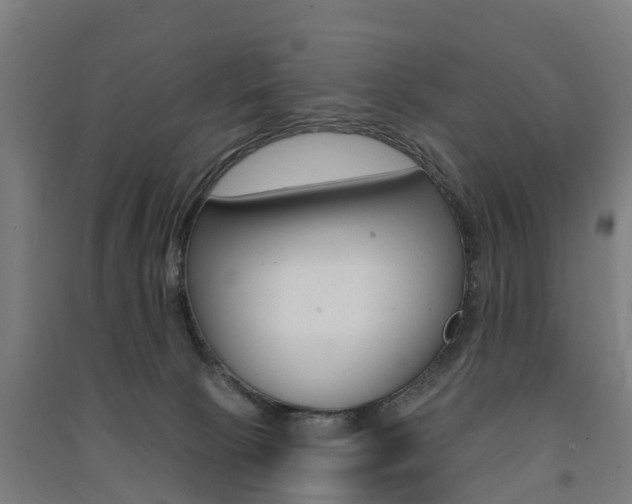 X0000091580081200708201023