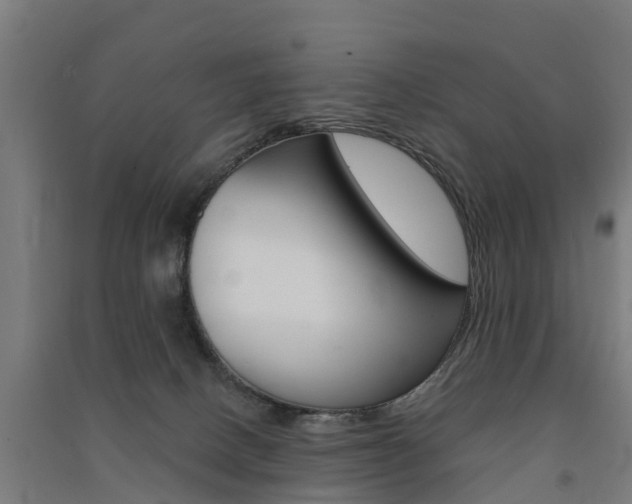 X0000091580082200708201023