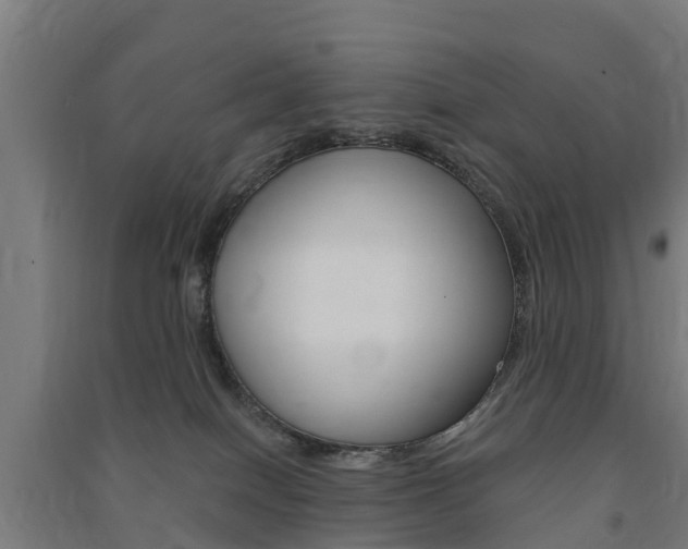 X0000091580086200708201023