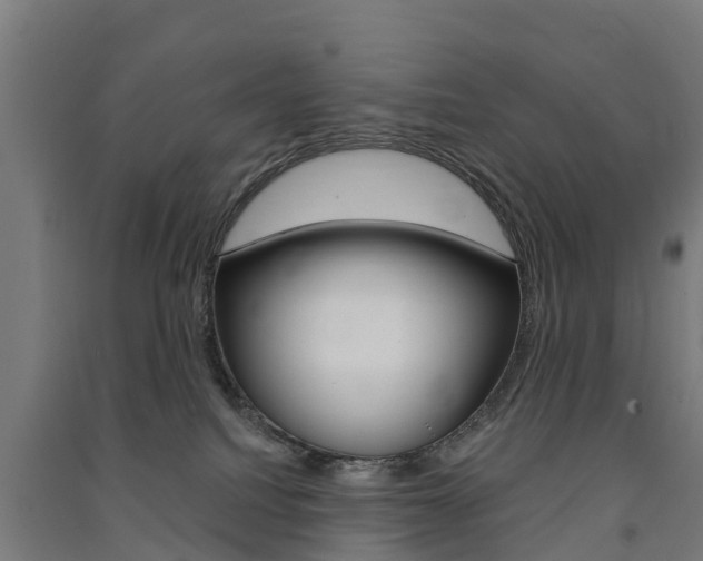 X0000091580088200708201023