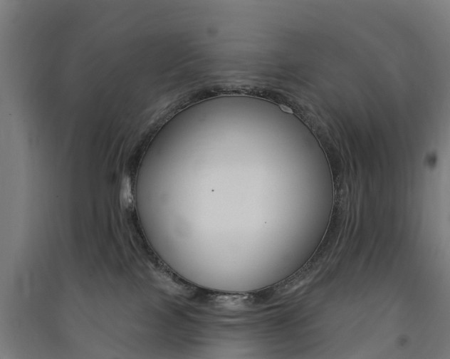 X0000091580089200708201023