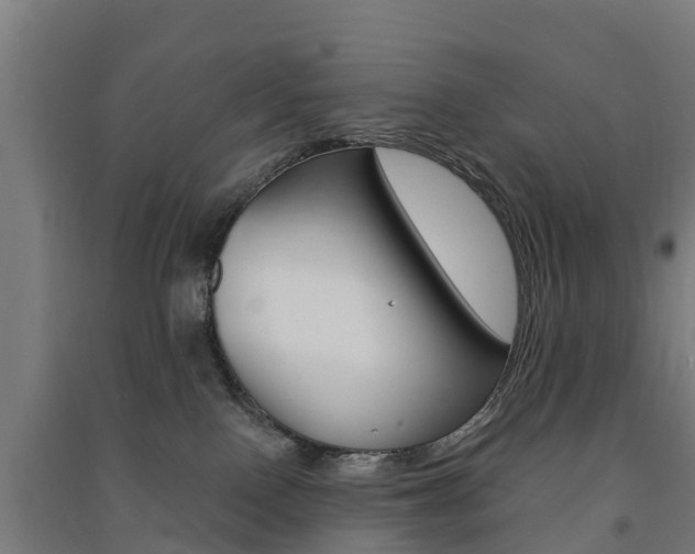 X0000091580090200708201023