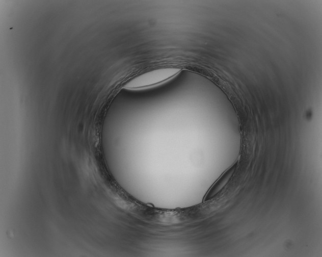 X0000091580091200708201023