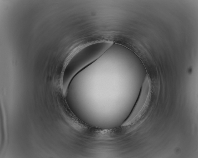 X0000091580092200708201023