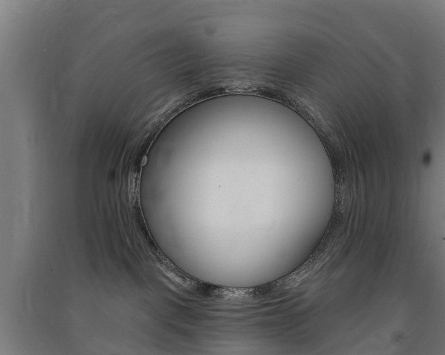 X0000091580093200708201023