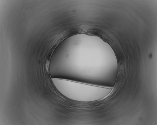 X0000091580094200708201023