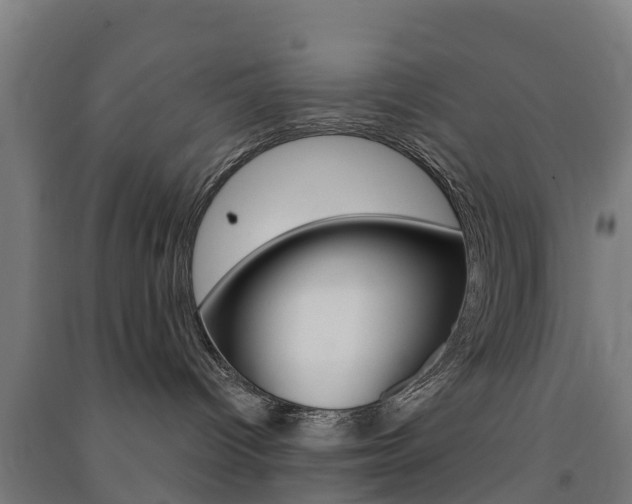 X0000091580096200708201023