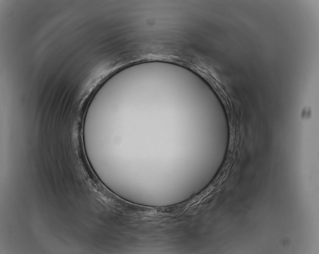 X0000091580098200708201023