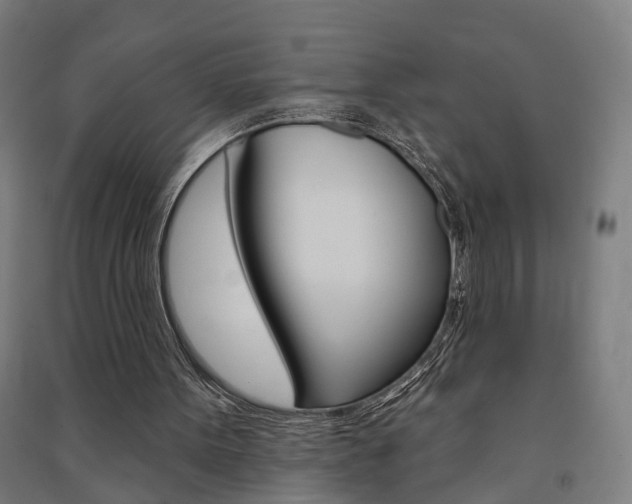 X0000091580099200708201023