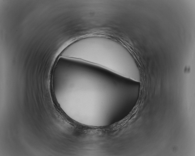 X0000091580100200708201023