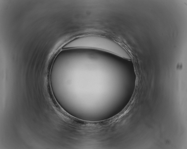 X0000091580101200708201023