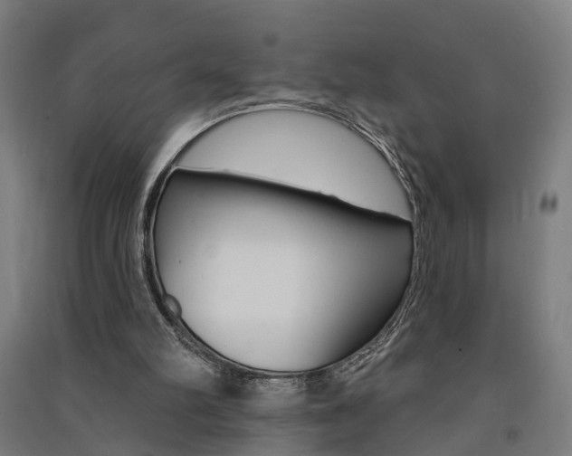 X0000091580102200708201023