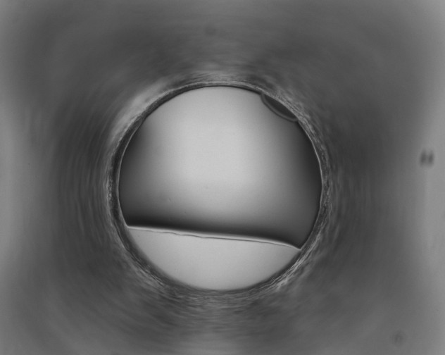 X0000091580103200708201023