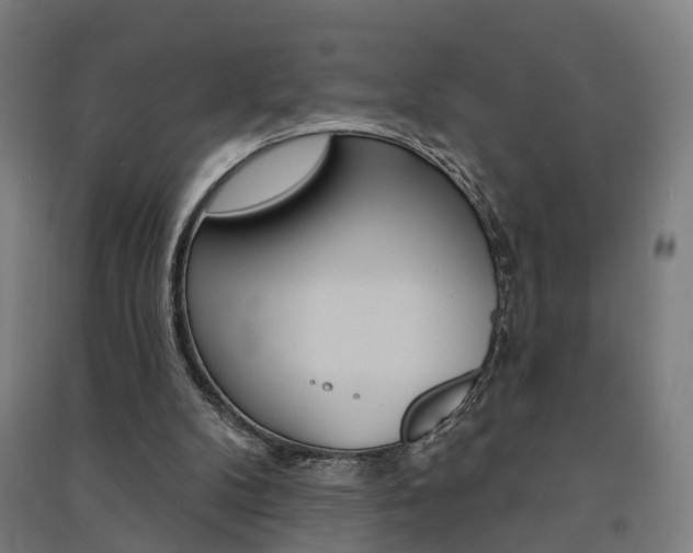 X0000091580104200708201023