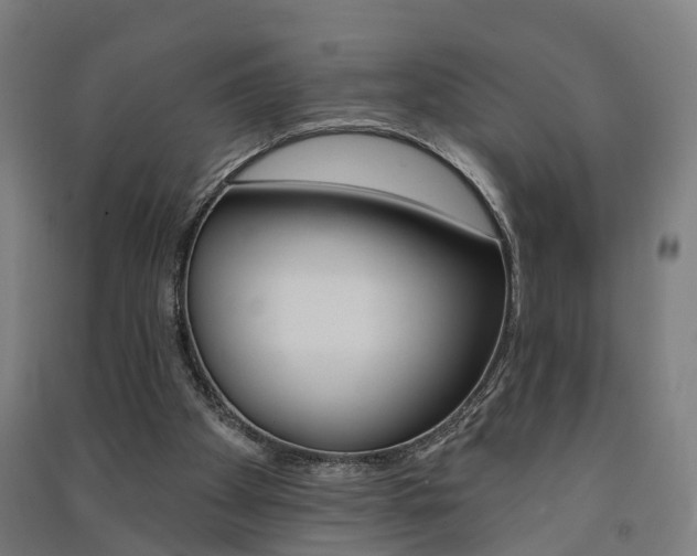 X0000091580105200708201022
