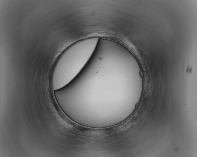 X0000091580106200708201022