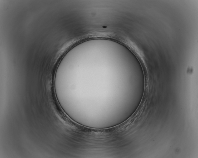 X0000091580107200708201022