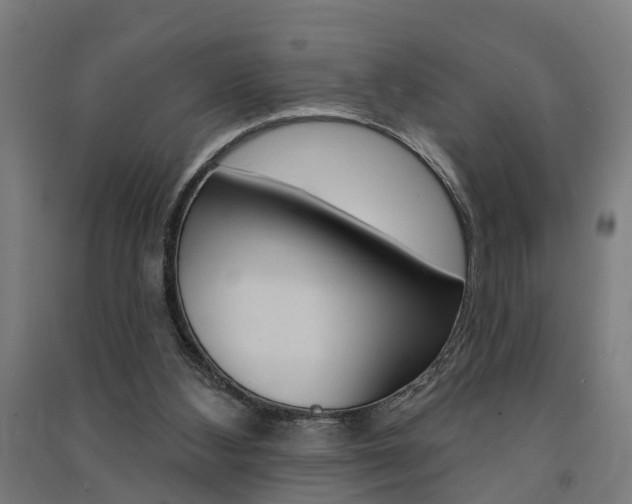 X0000091580108200708201022