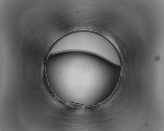 X0000091580109200708201022