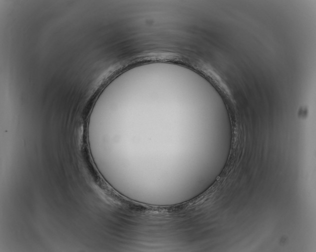 X0000091580110200708201022