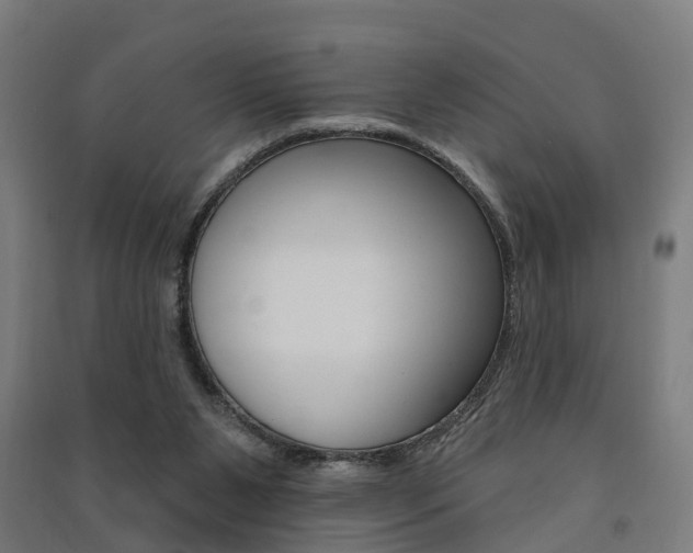 X0000091580111200708201022