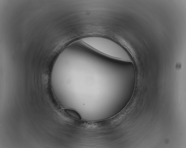 X0000091580113200708201022