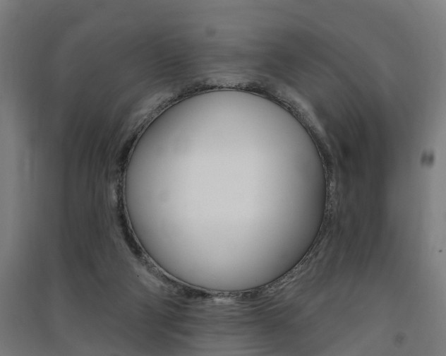 X0000091580114200708201022