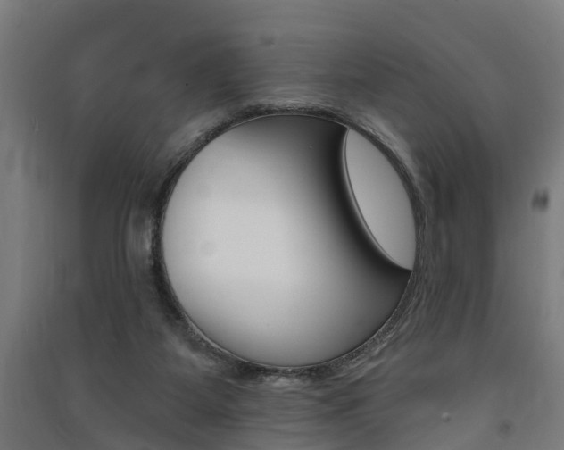 X0000091580115200708201022