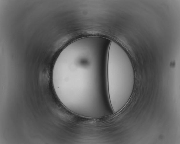 X0000091580116200708201022