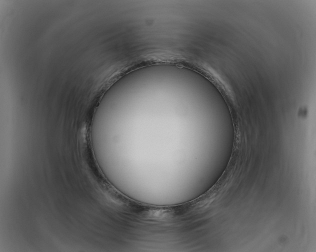 X0000091580117200708201022