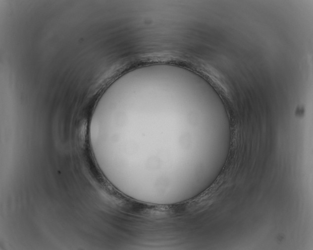 X0000091580118200708201022