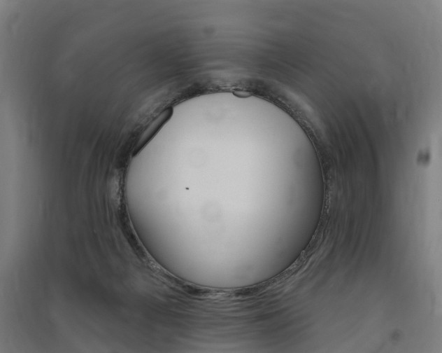X0000091580121200708201022