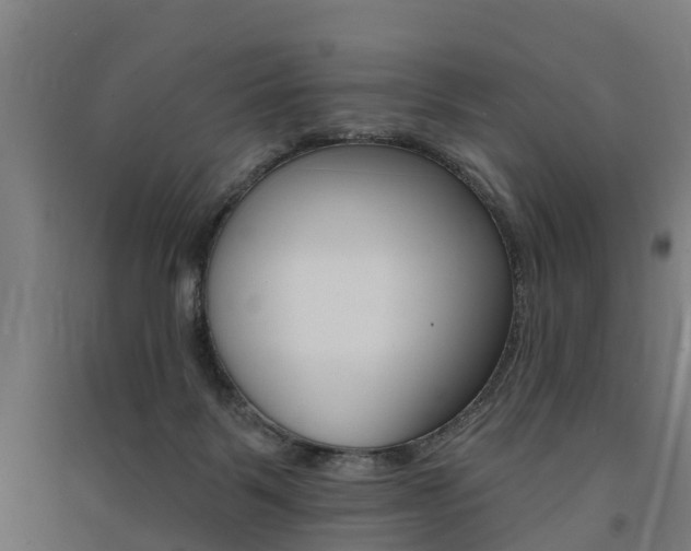 X0000091580123200708201022