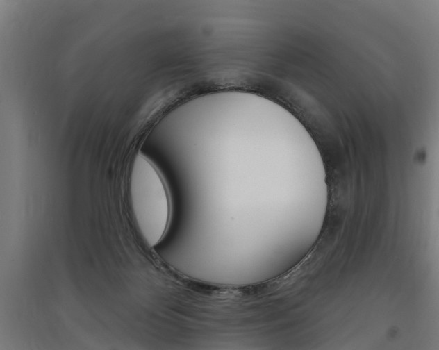 X0000091580124200708201022