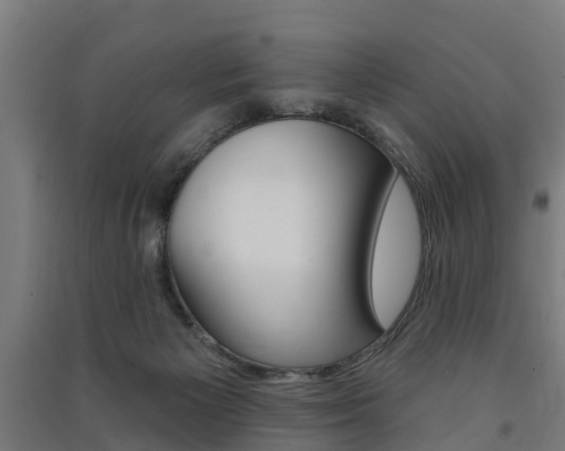X0000091580125200708201022