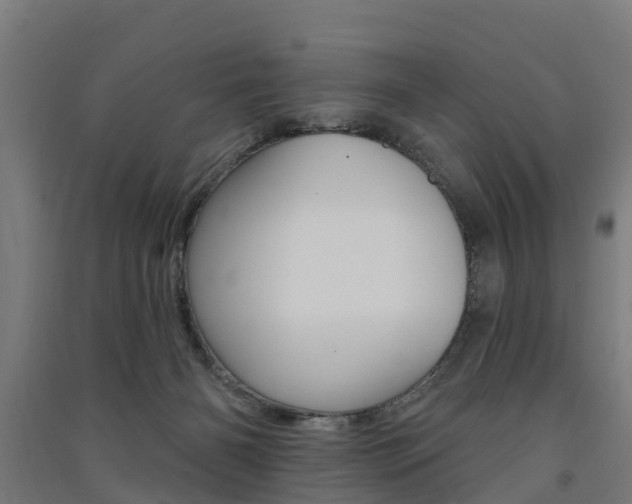 X0000091580126200708201022