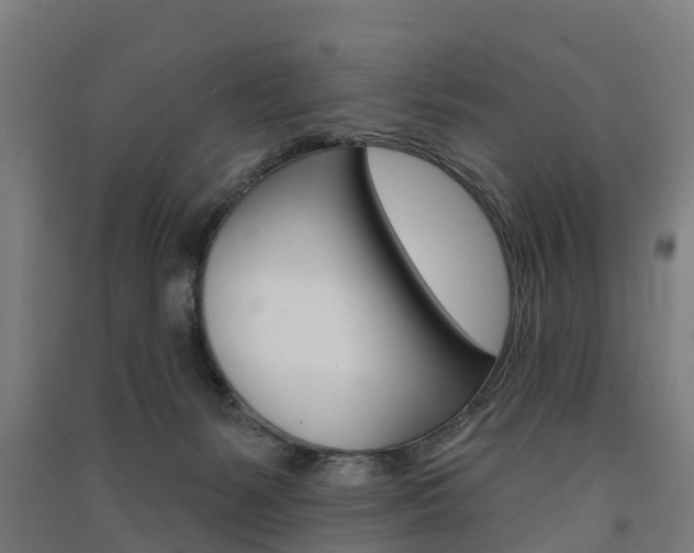 X0000091580127200708201022