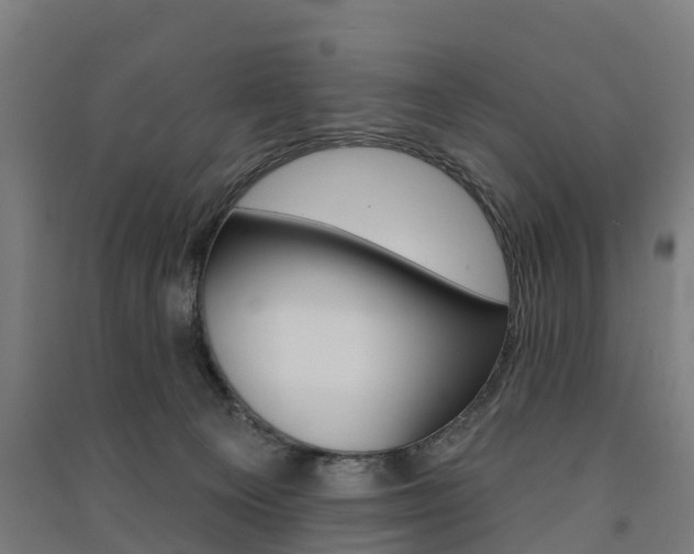 X0000091580129200708201022