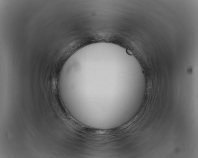 X0000091580130200708201022